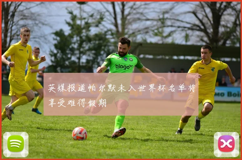 英媒报道帕尔默未入世界杯名单将享受难得假期