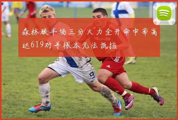 森林狼半场三分火力全开命中率高达619对手根本无法抵挡